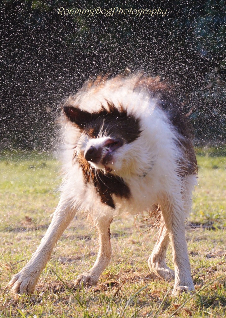Playing with the hose